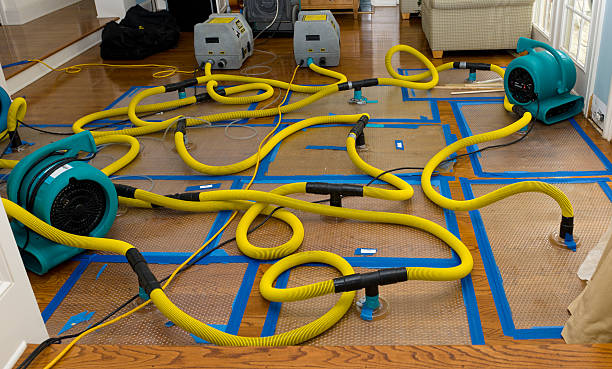 Professional Storm Water Damage Restoration technician working in Neosho, WI